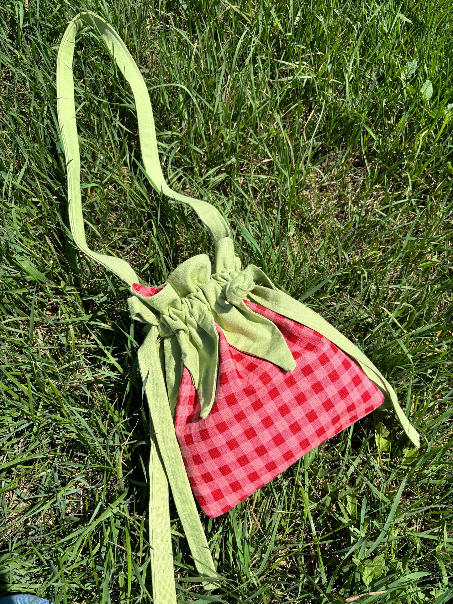 Strawberry Forever in Red + Pink Gingham.