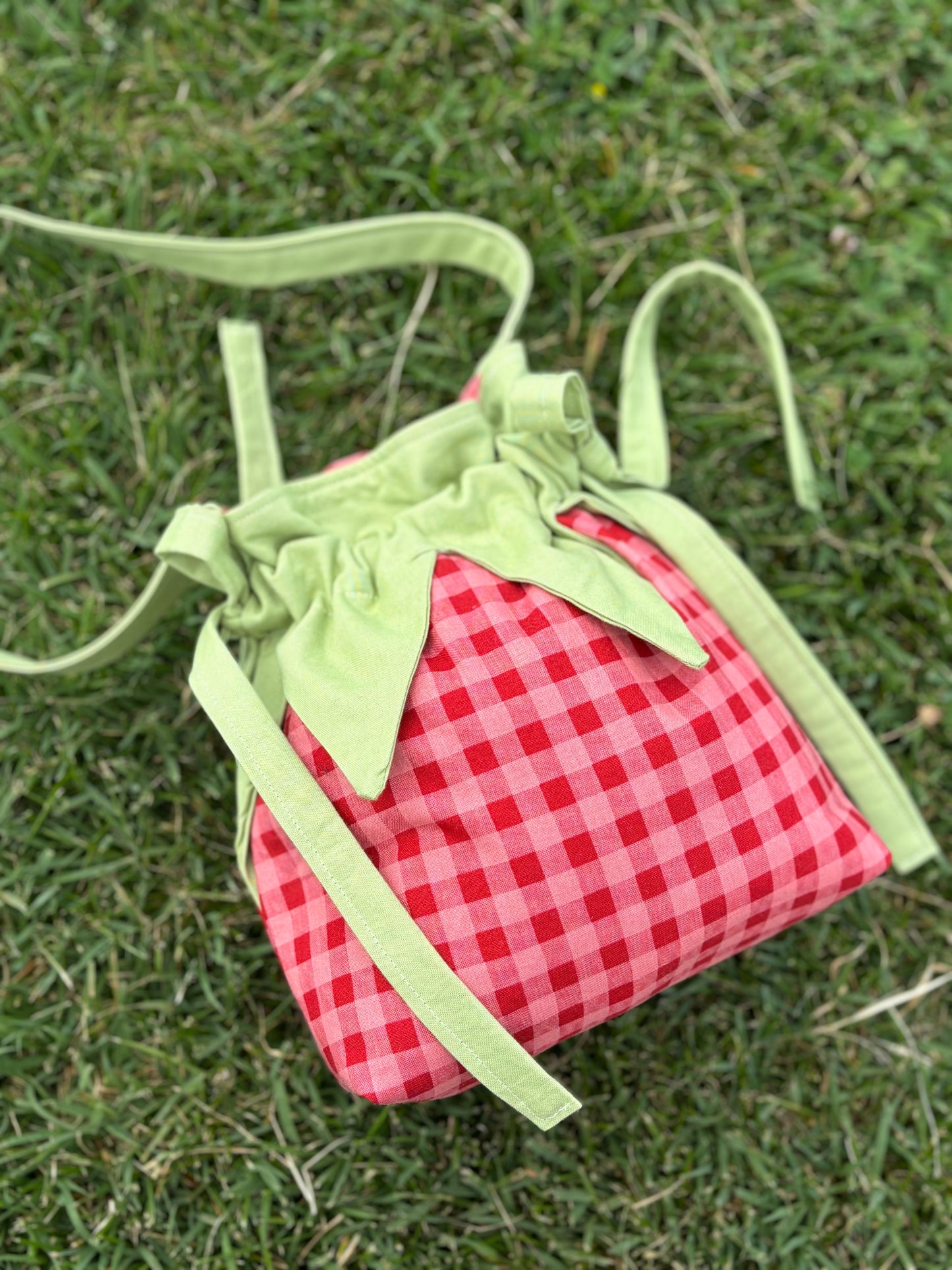 Strawberry Forever in Red + Pink Gingham.