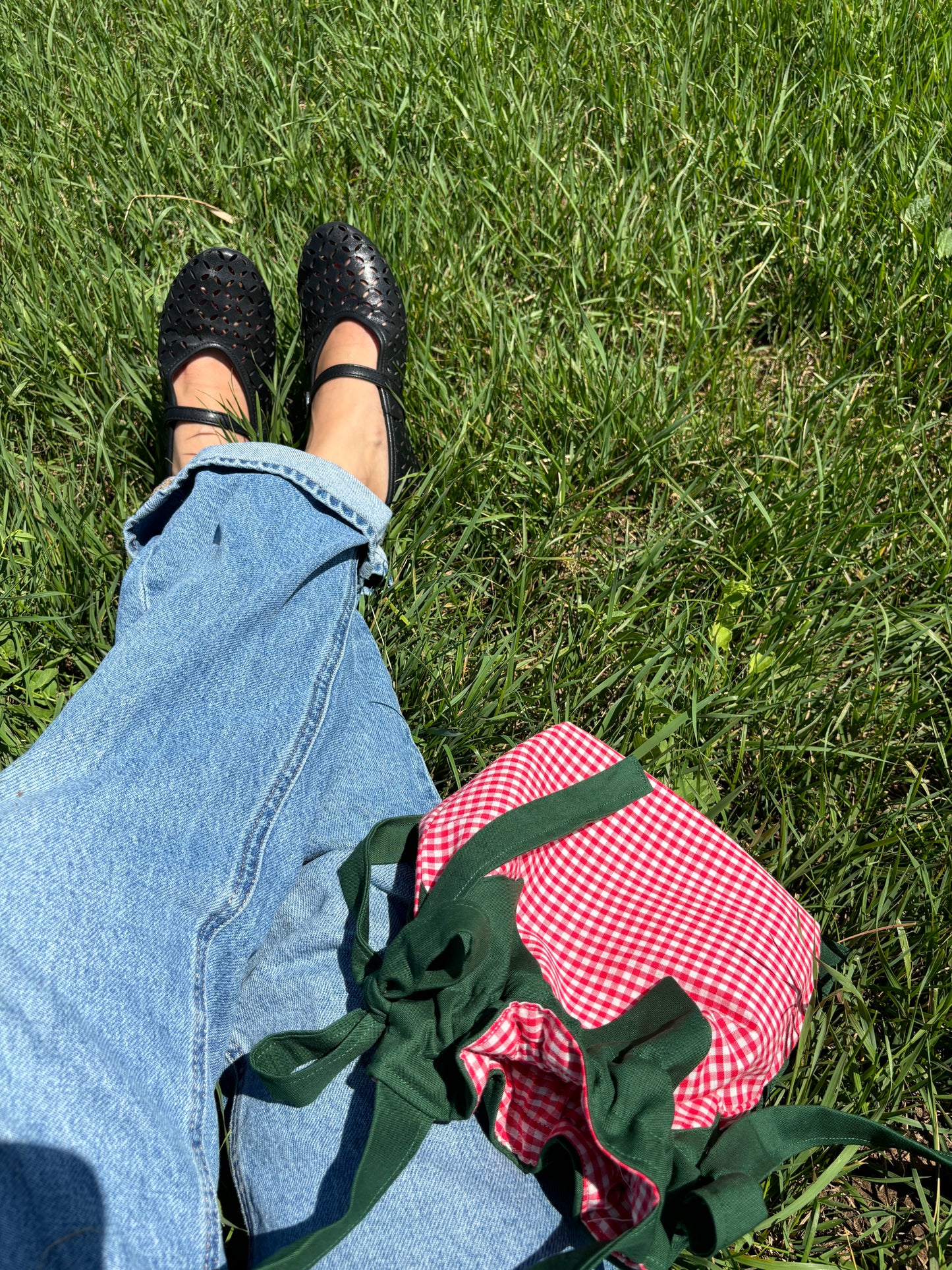 Strawberry Forever in Bright Red Gingham.